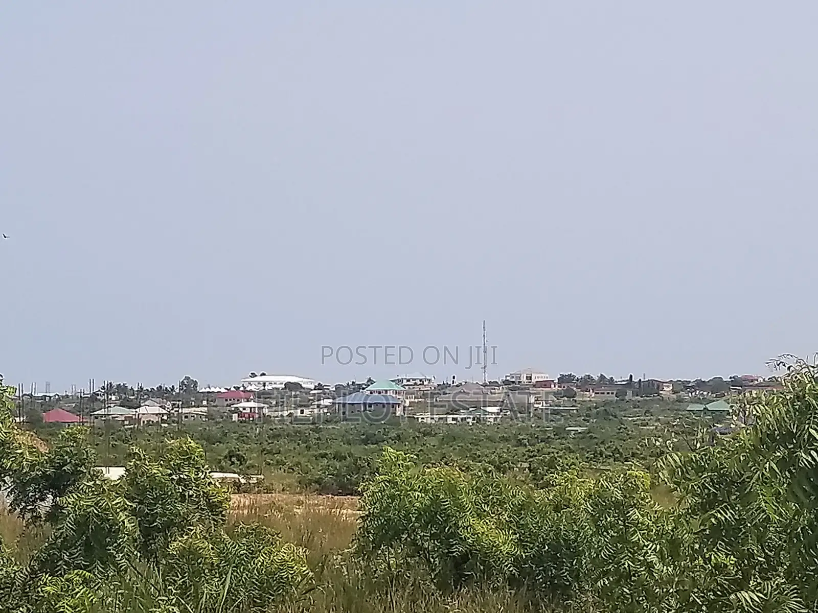 Exclusive Full Plot