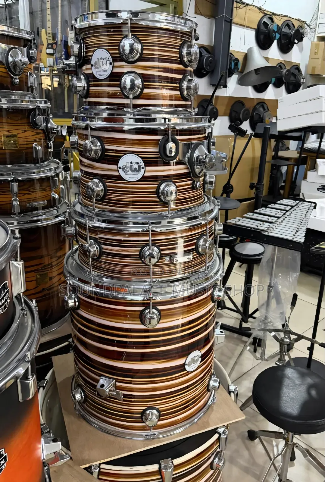 DW 5-Piece Professional Drumset