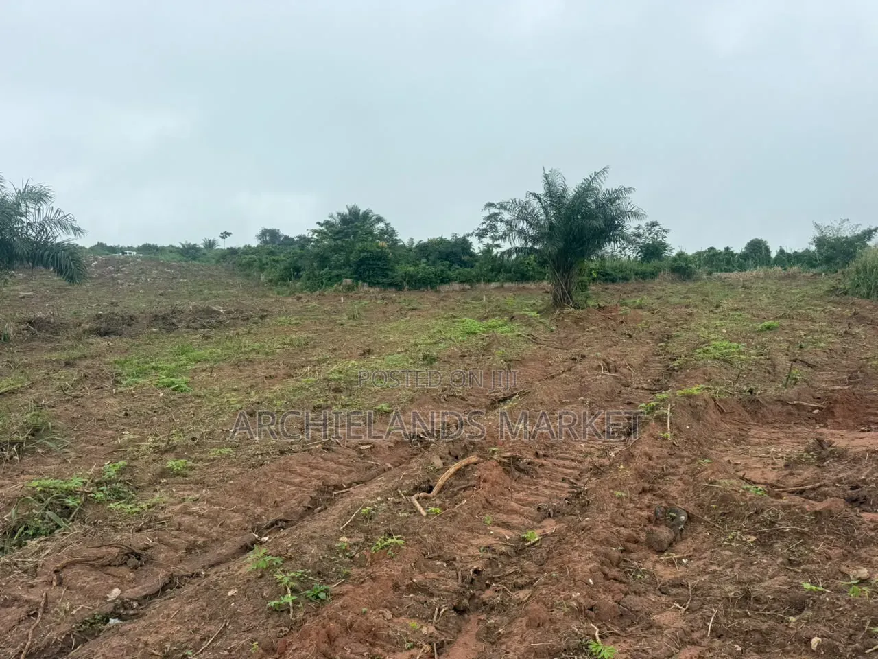 Land for Sale at Konkonuru