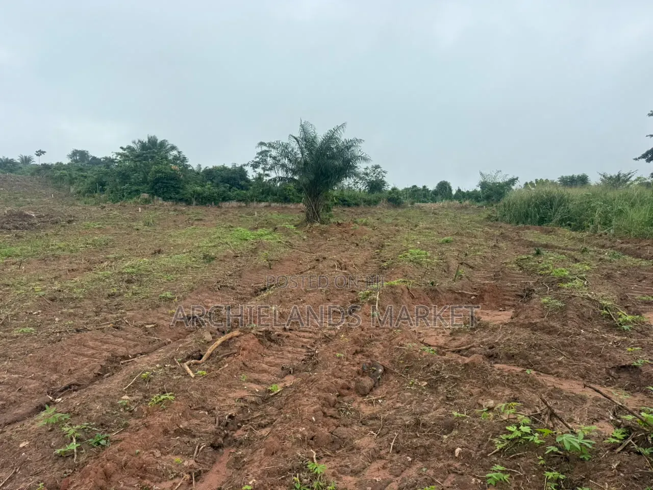 Land for Sale at Konkonuru
