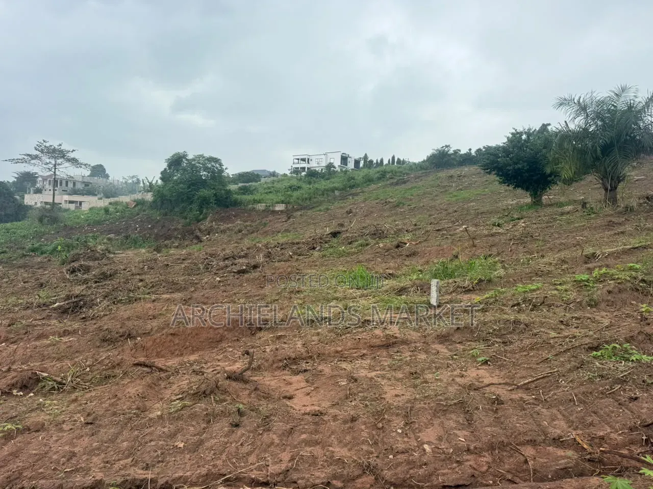 Land for Sale at Konkonuru
