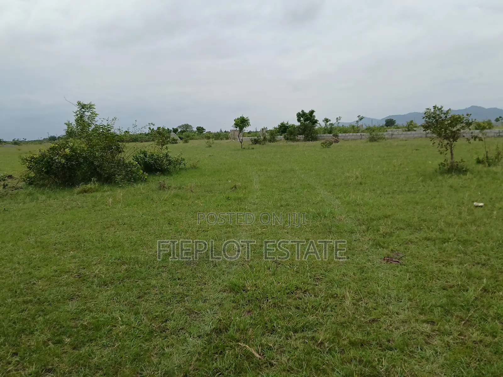 Big Opportunity – Shai Hills Plot