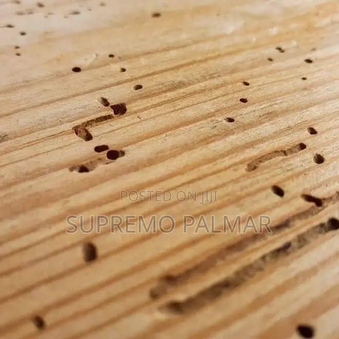 Wood Preservative Termite Killer - Anti-Termite Treatment for Timber