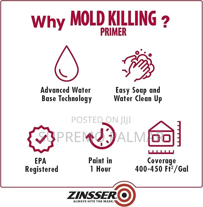 Zinsser Mold Killing Primer Paint, 3.78 Litres