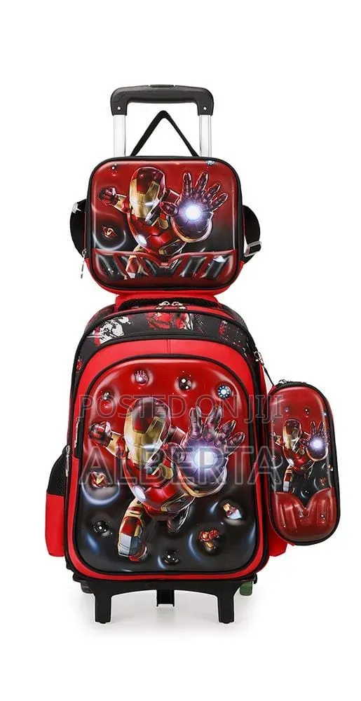 Trolley/Backpacks 3 in 1 Bag