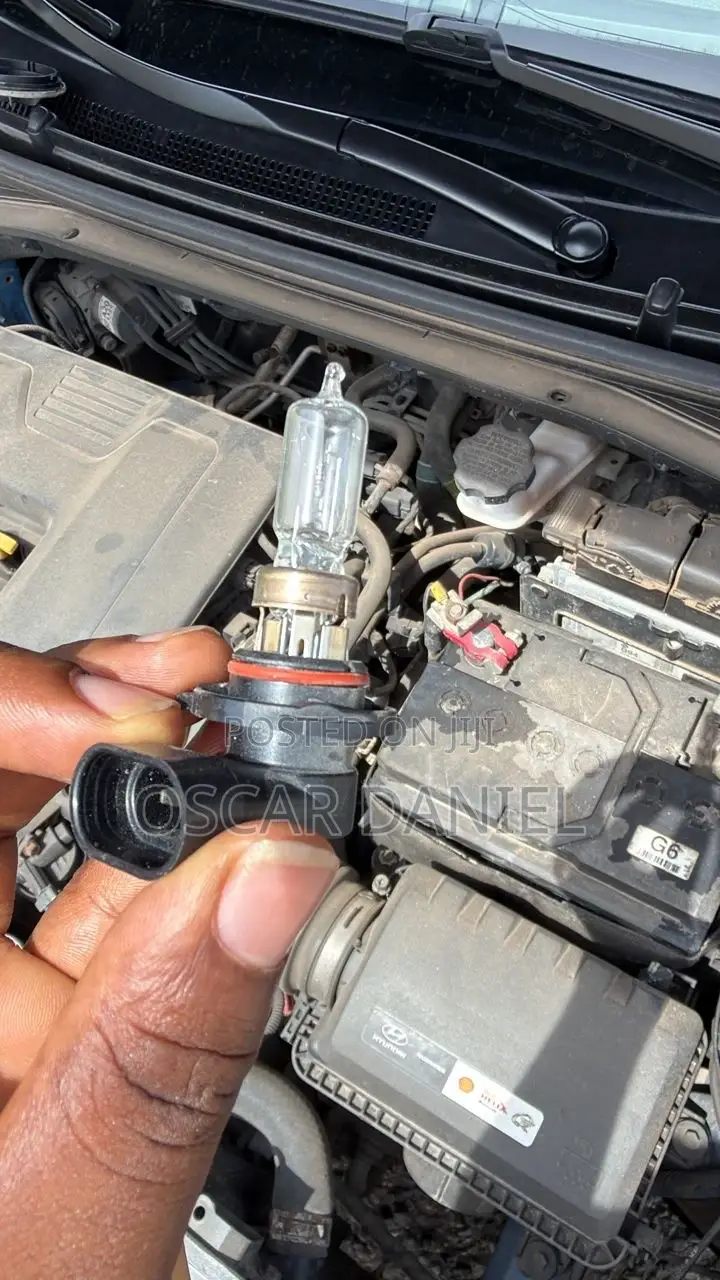 9005 and 9006 Normal Halogen Bulbs Available