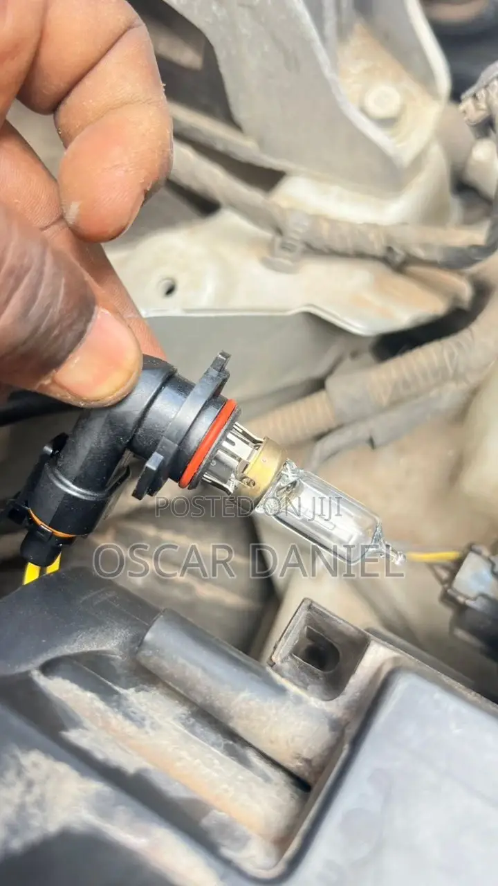9005 and 9006 Normal Halogen Bulbs Available