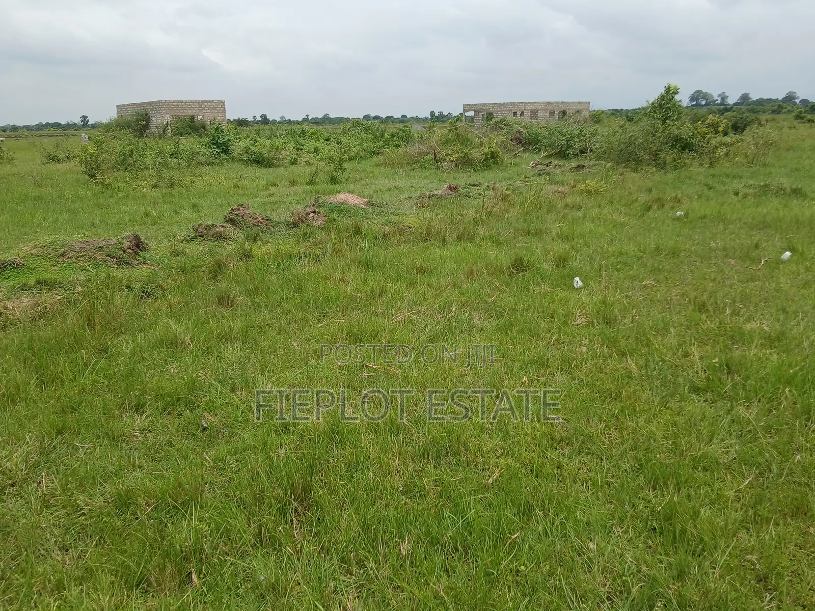Flexible Land Ownership Plan
