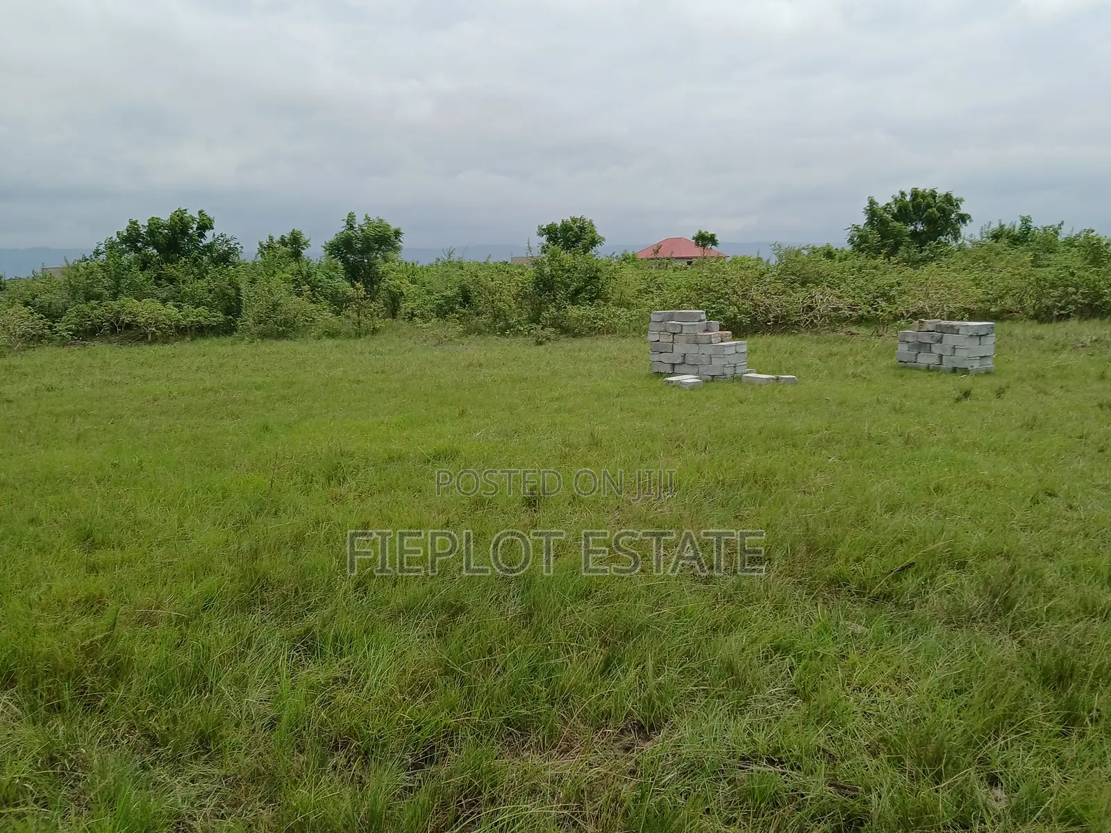 Flexible Land Ownership Plan