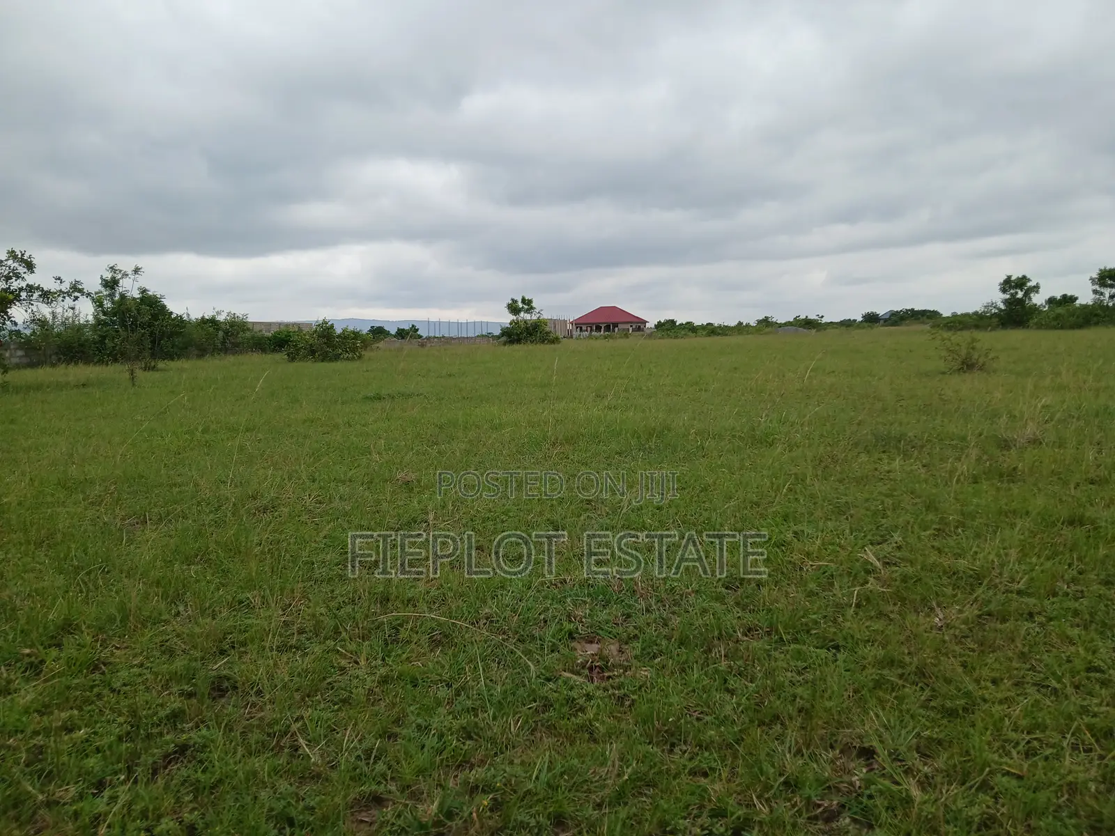 Flexible Land Ownership Plan