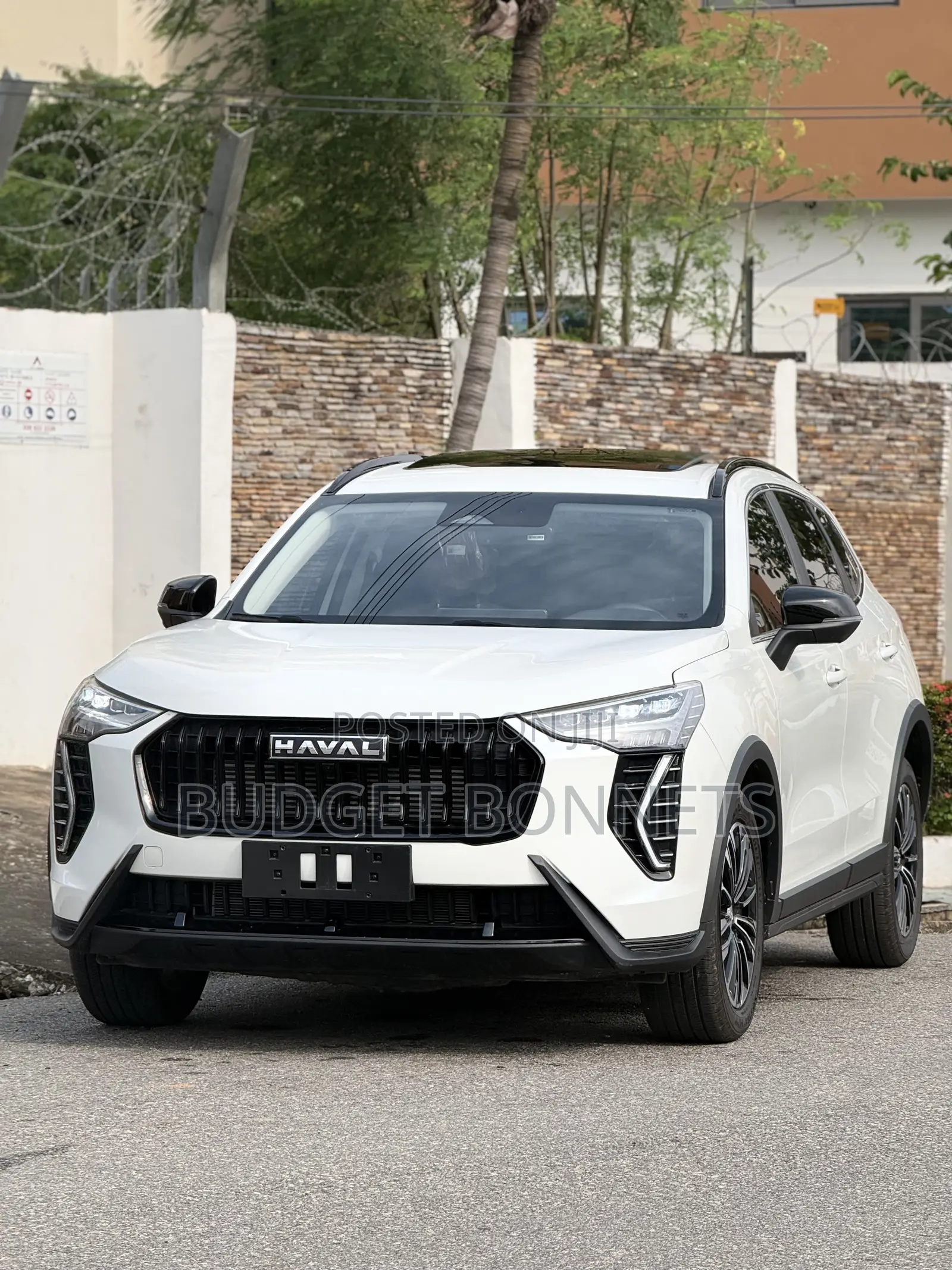Haval Jolion 2025 White