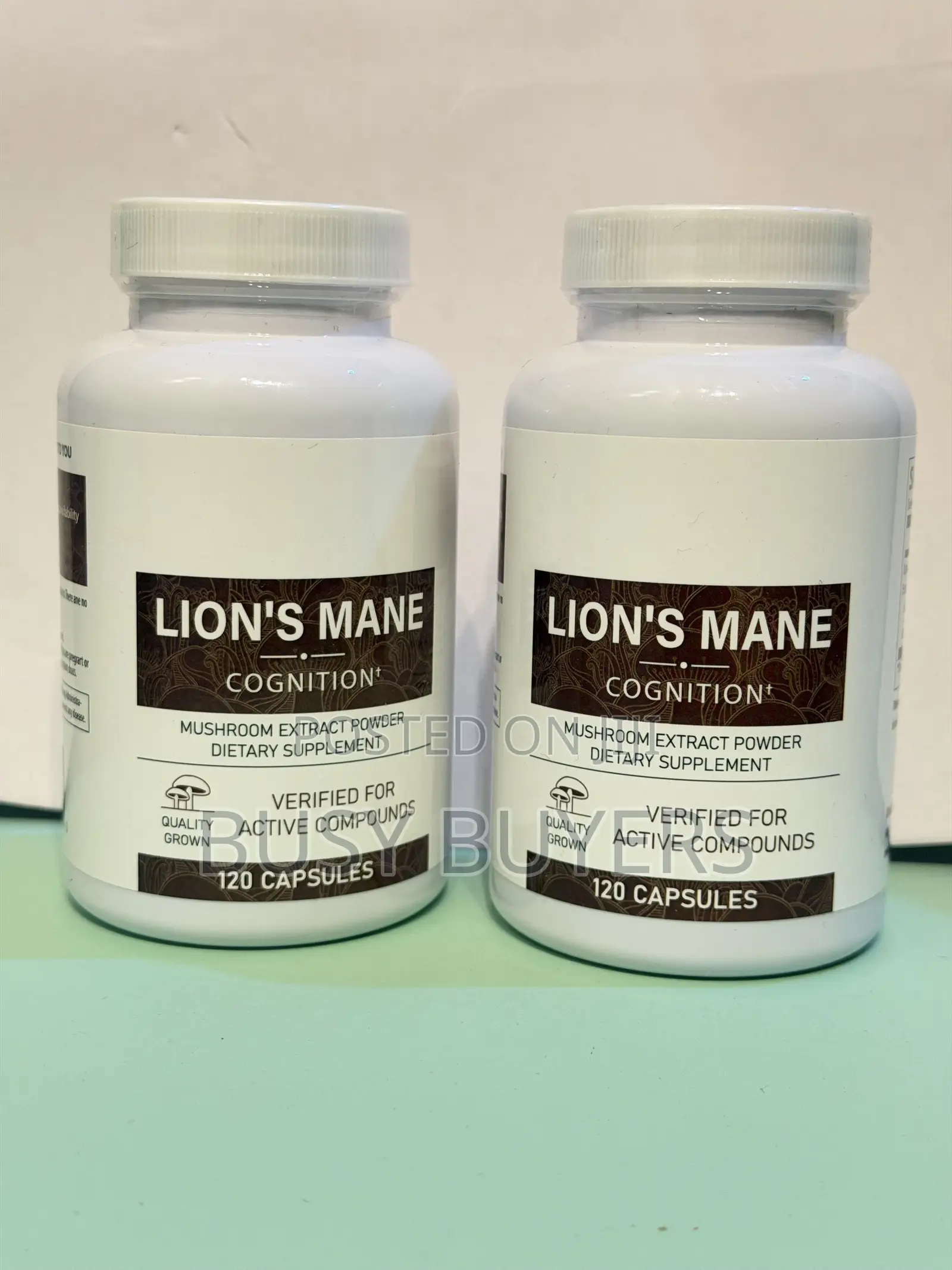 Lions Mane Mushroom Extract Powder