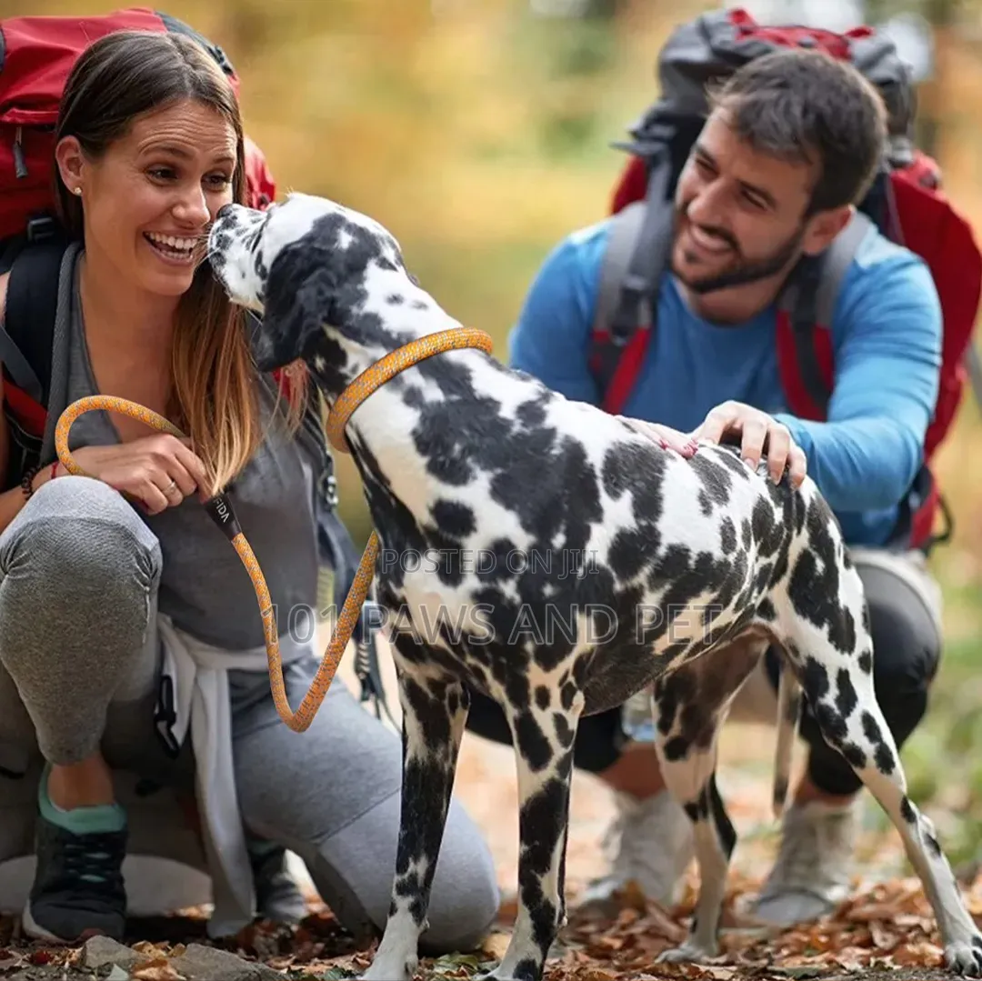 Fida Slip Lead Dog Leash Rope