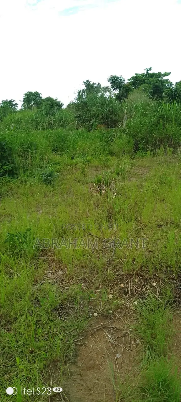Farm Land for Sale