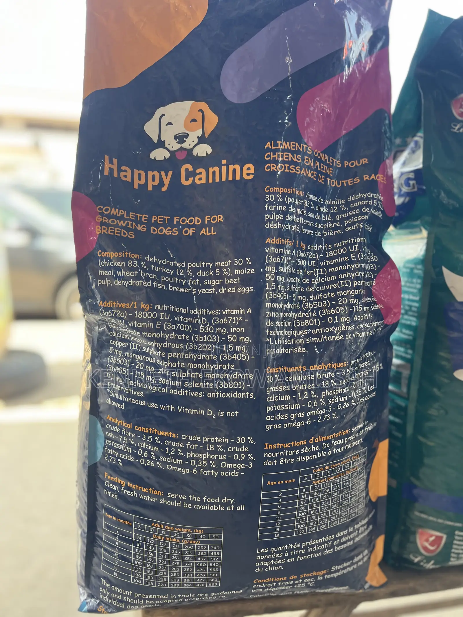 Happy Canine