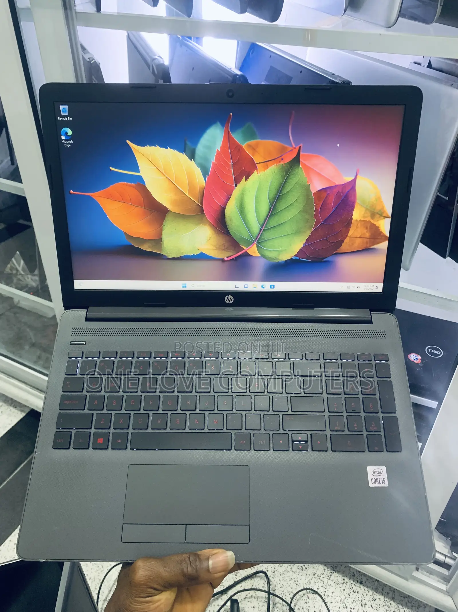 Laptop HP 250 G7 8GB Intel Core i5 SSD 256GB