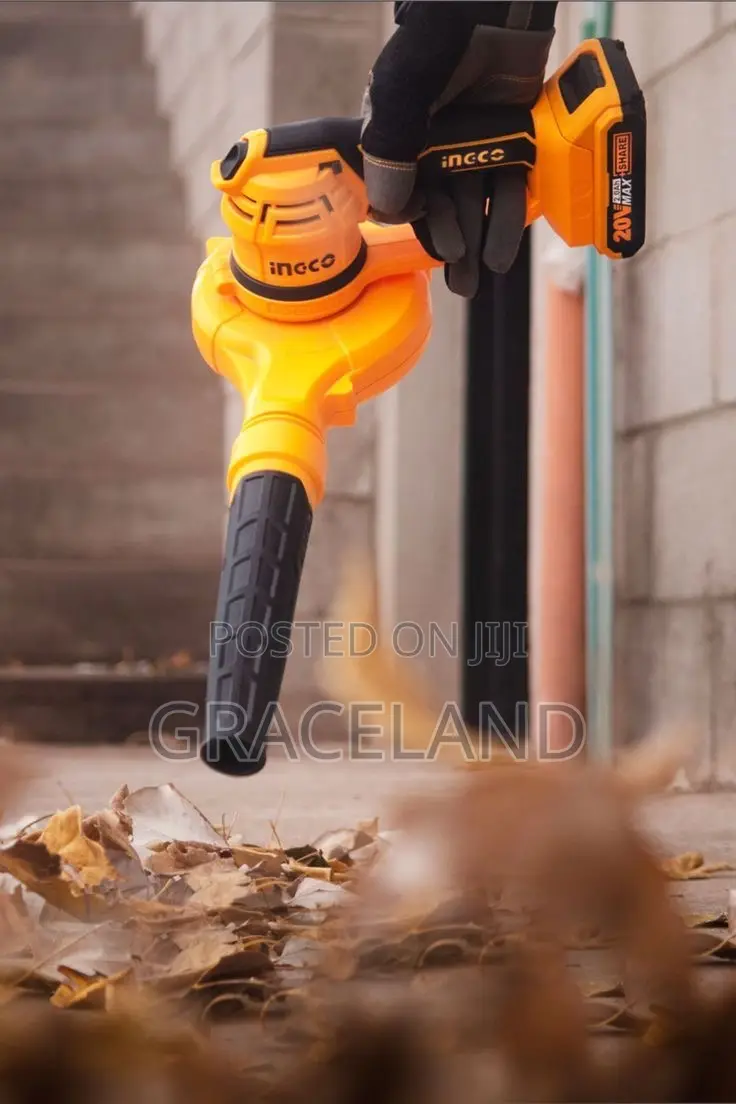 This Is Original INGCO Industrial Air Blower Cordless