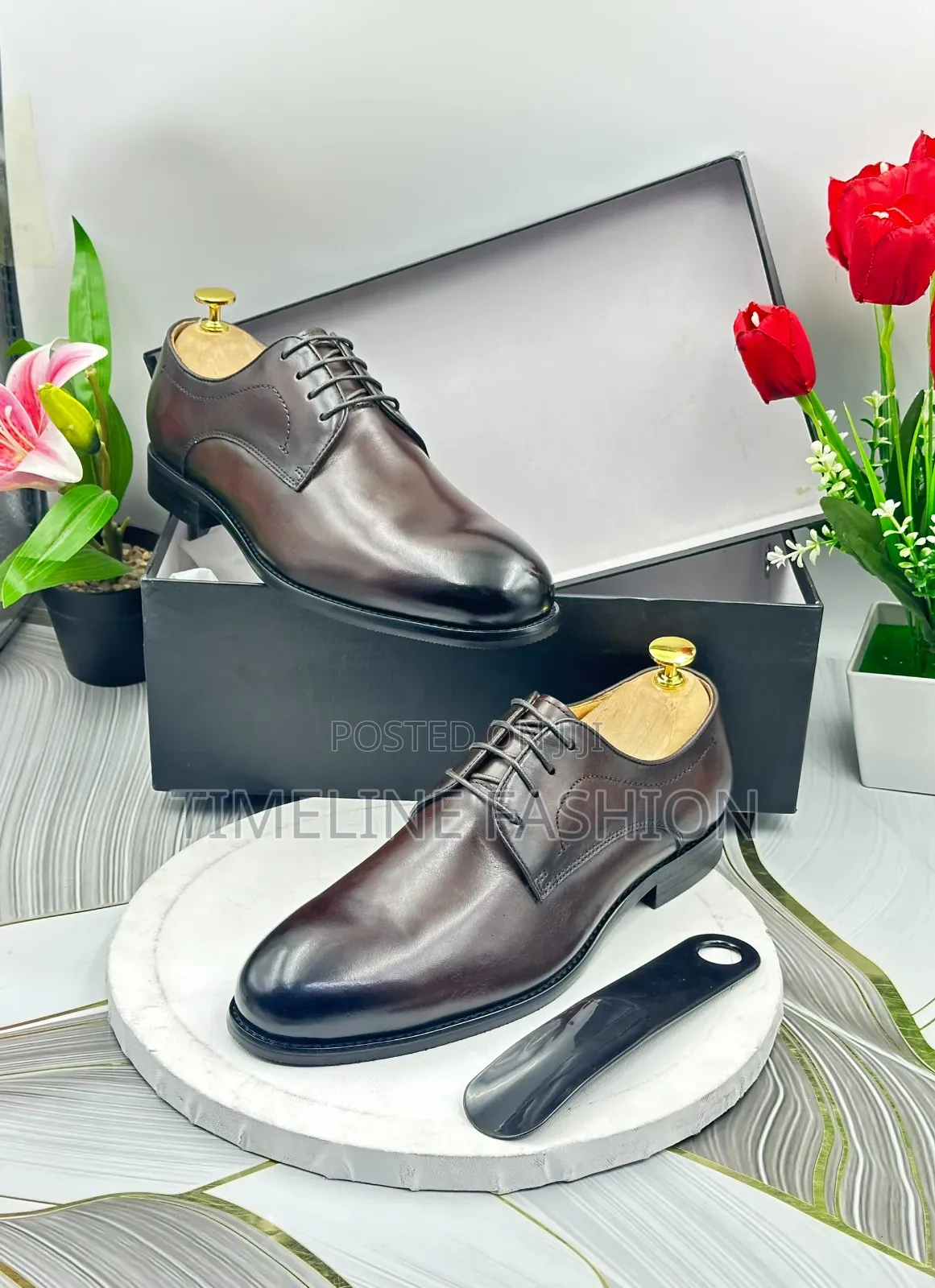 Cesare Paciotti Coffee Brown Oxford Men's Leather Shoes