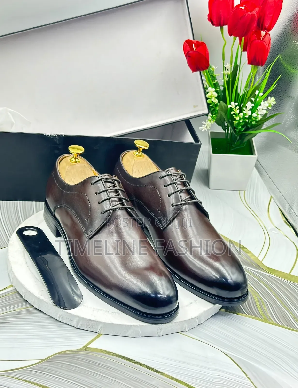 Cesare Paciotti Coffee Brown Oxford Men's Leather Shoes