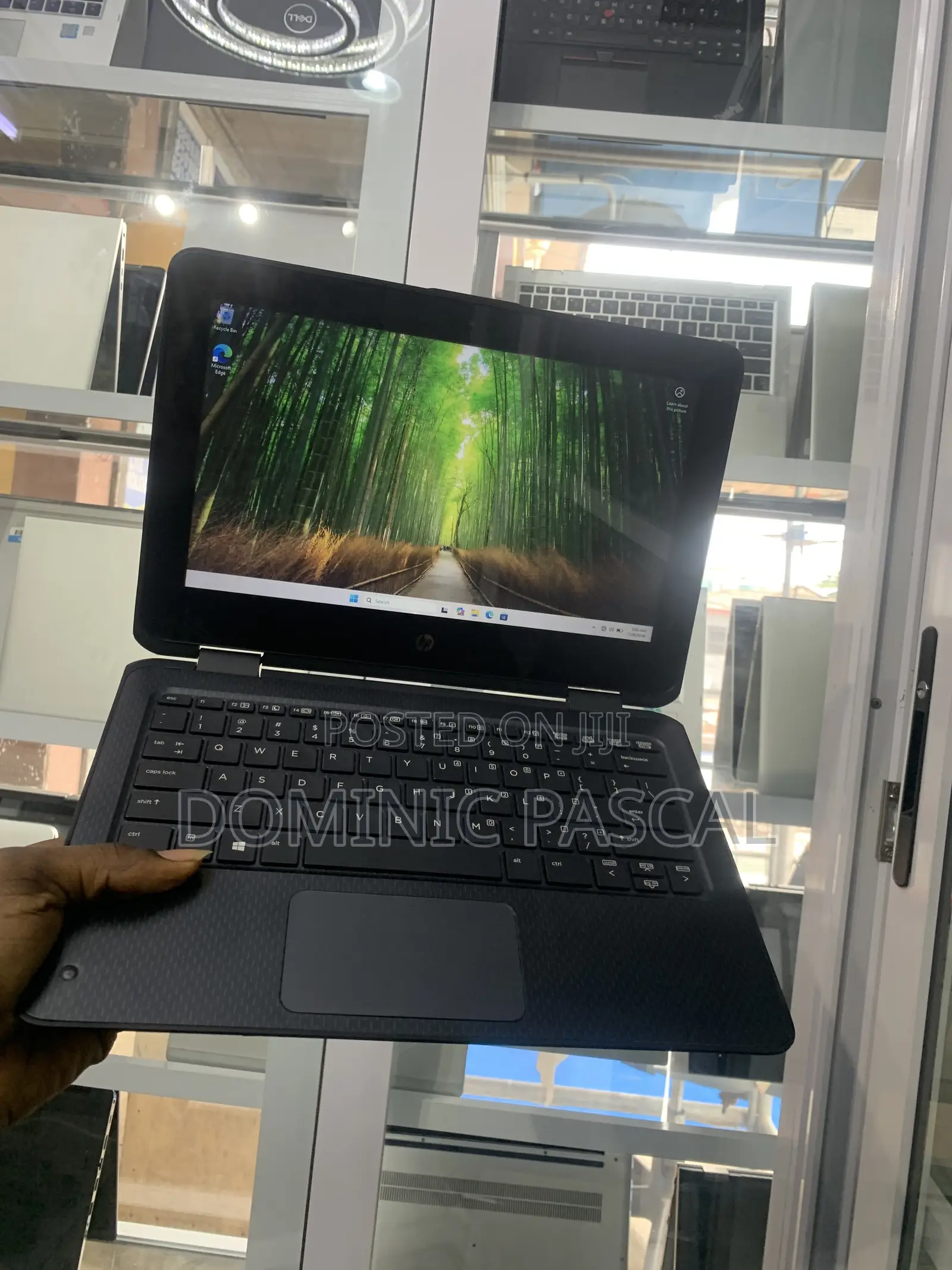 Laptop HP ProBook 11 X360 G1 EE 4GB Intel Pentium SSD 128GB