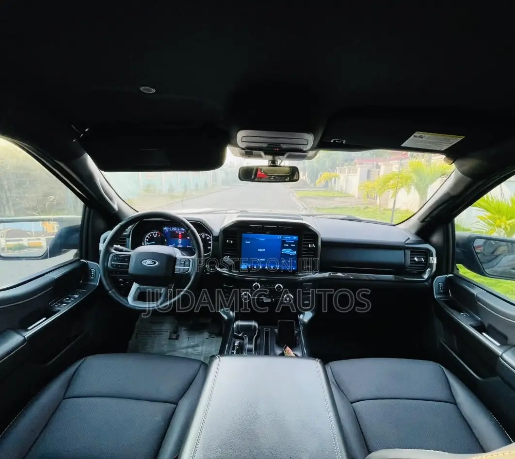 Ford F-150 2021 Gray