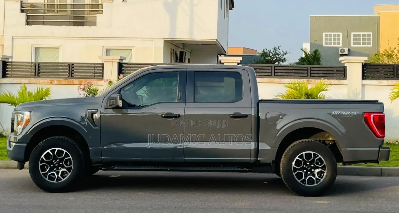 Ford F-150 2021 Gray