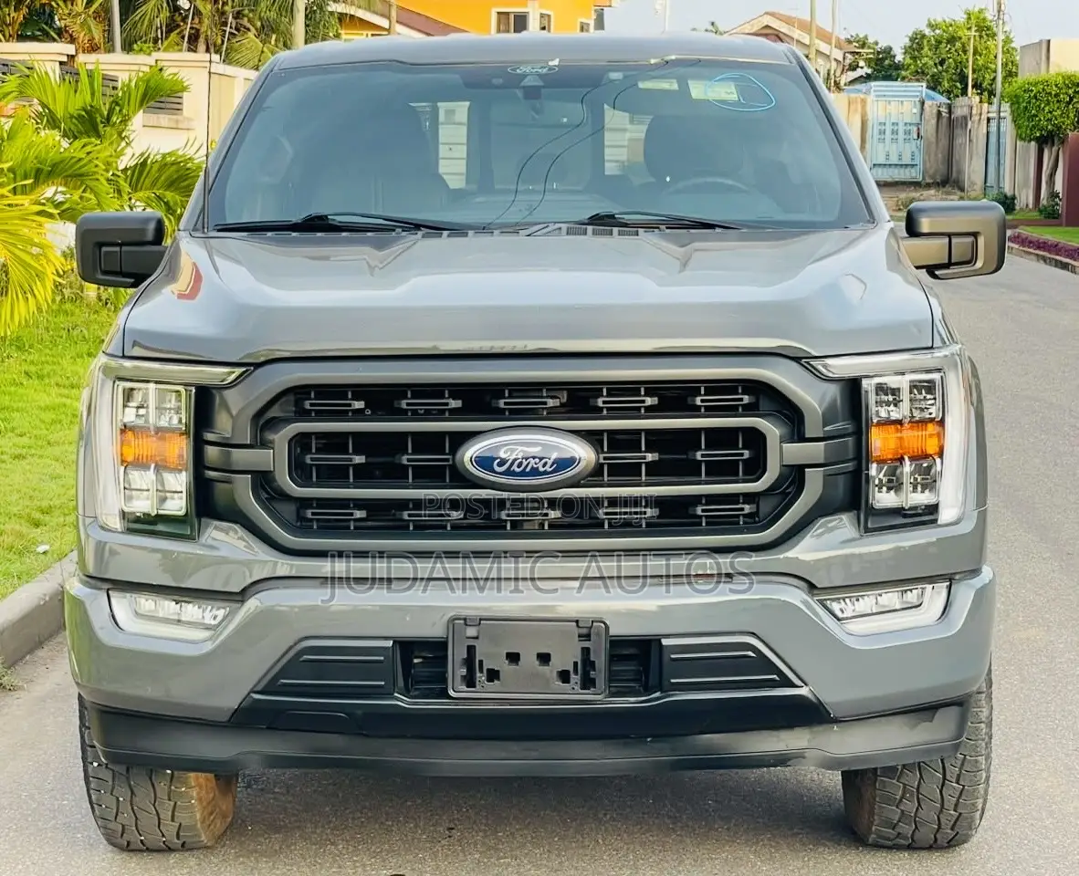 Ford F-150 2021 Gray