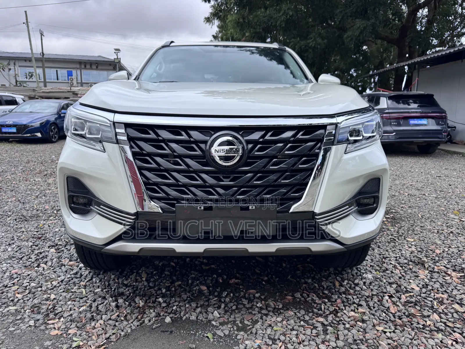 Nissan Terrano 2025 White