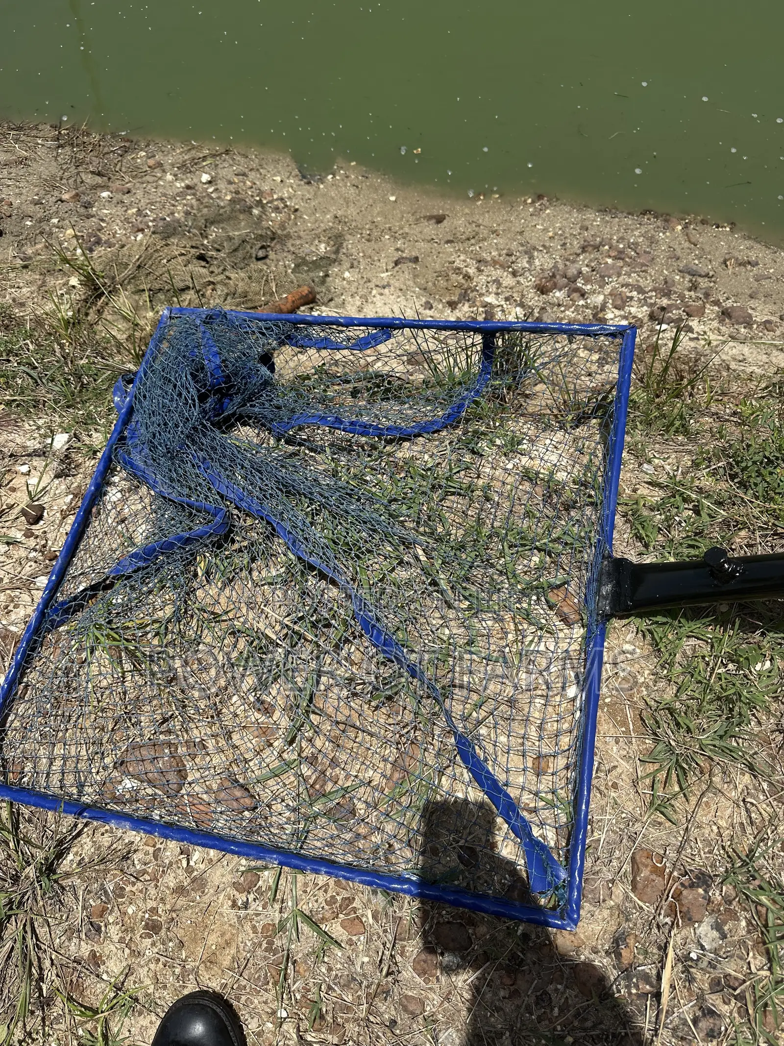 Winneba Scoop Net