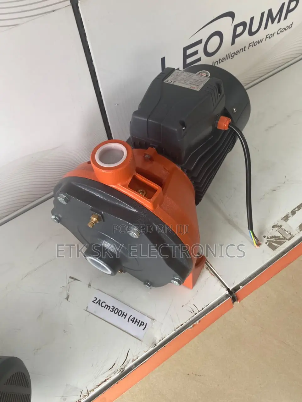 Leo 2acm300h 4hp Water Pump