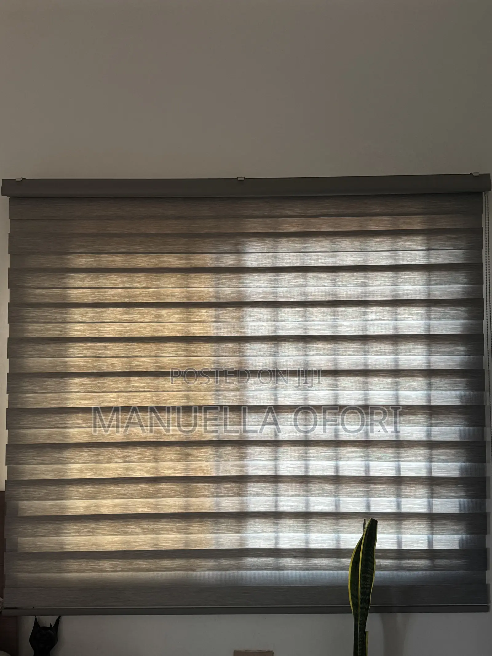 Blinds / Shades