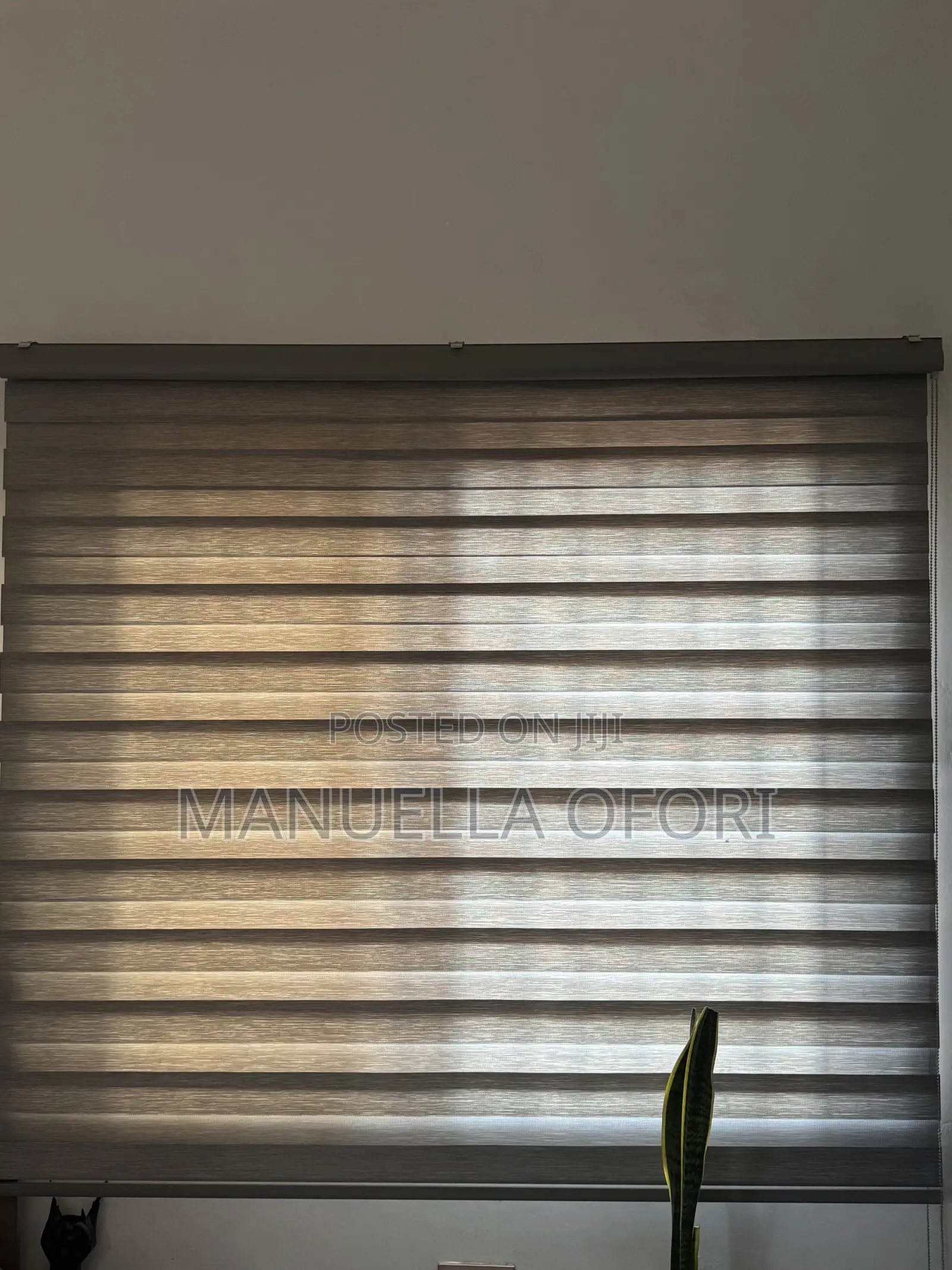Blinds / Shades