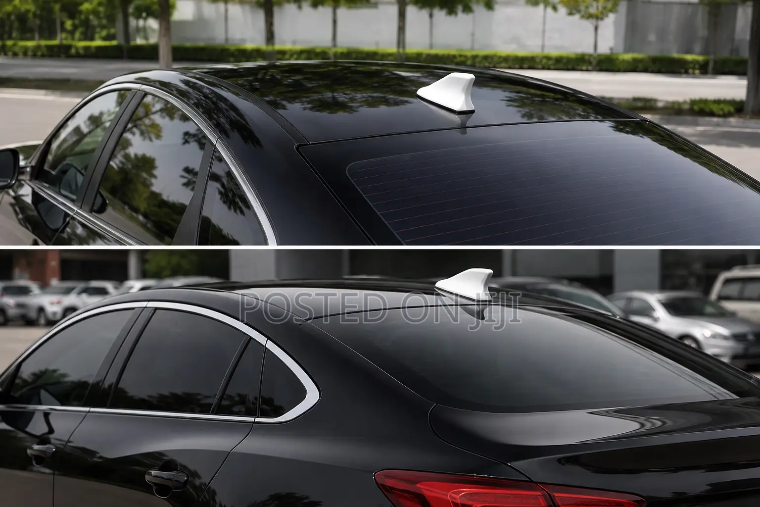 Shark Fin for All Cars Universal