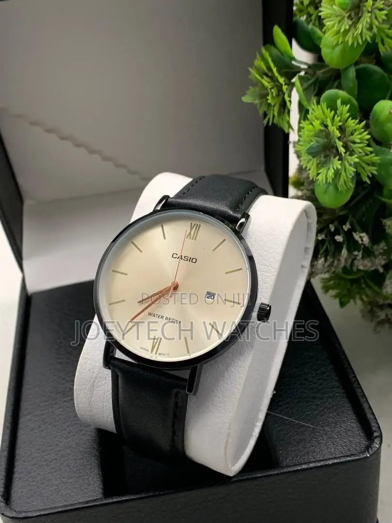 Casio Analog Simple Watch