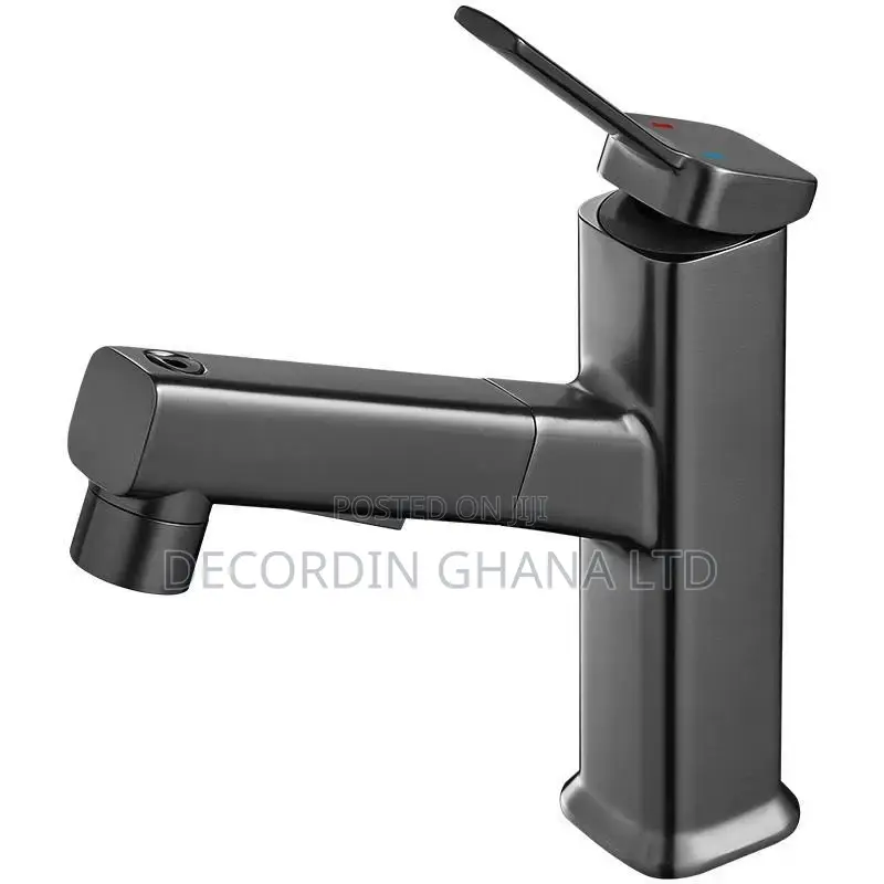 Bathroom Tap (Pull-Out Faucet)