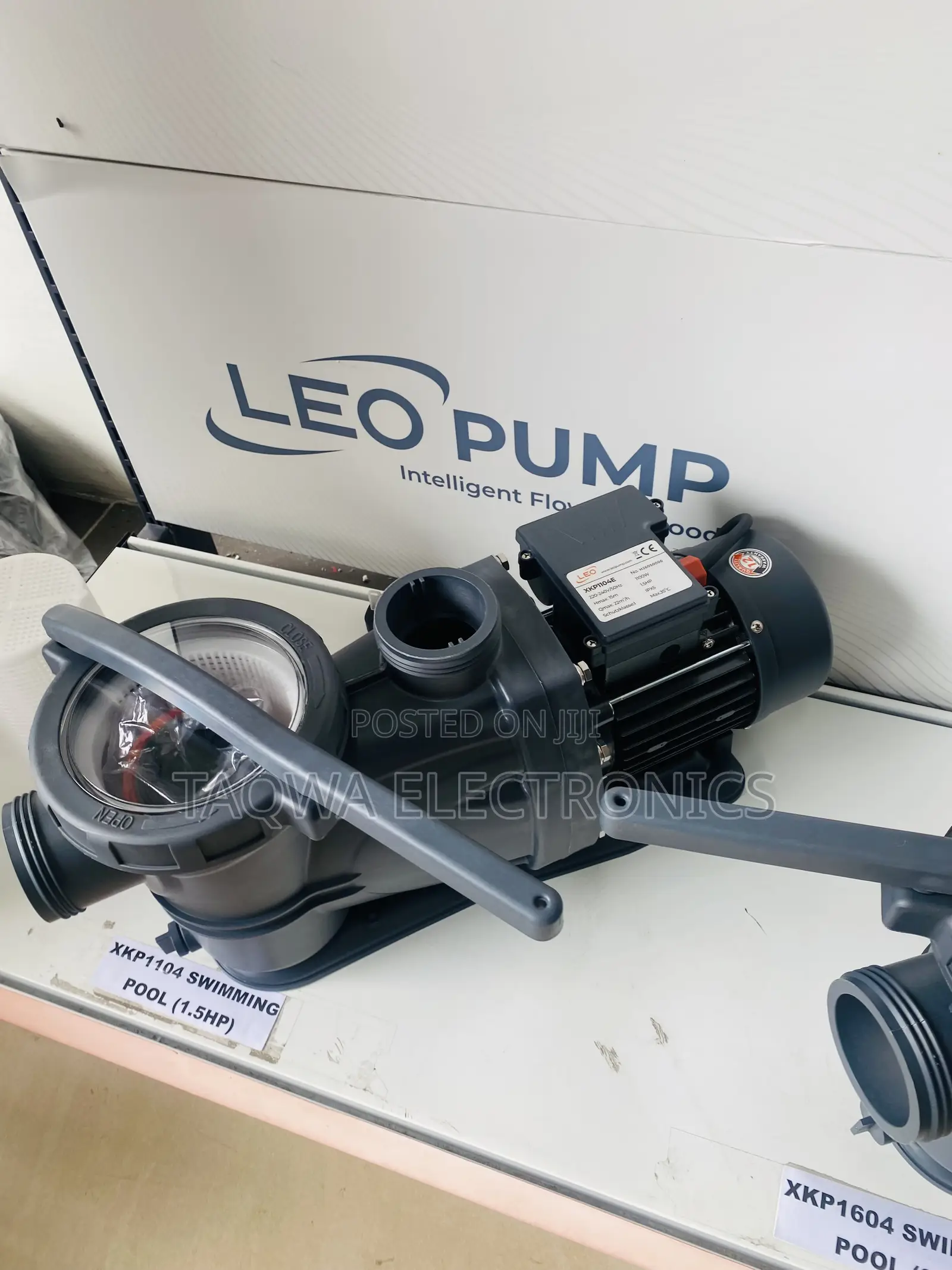 1.5hp With 2 Inches Leo Swimming Pool Pump
