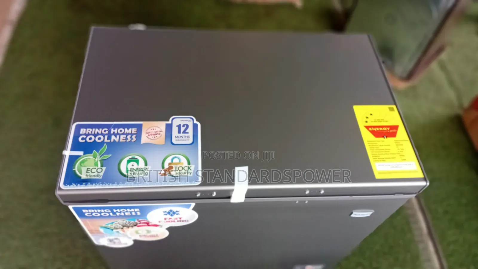 Low Power Consumption 198L Nasco Chest Freezer