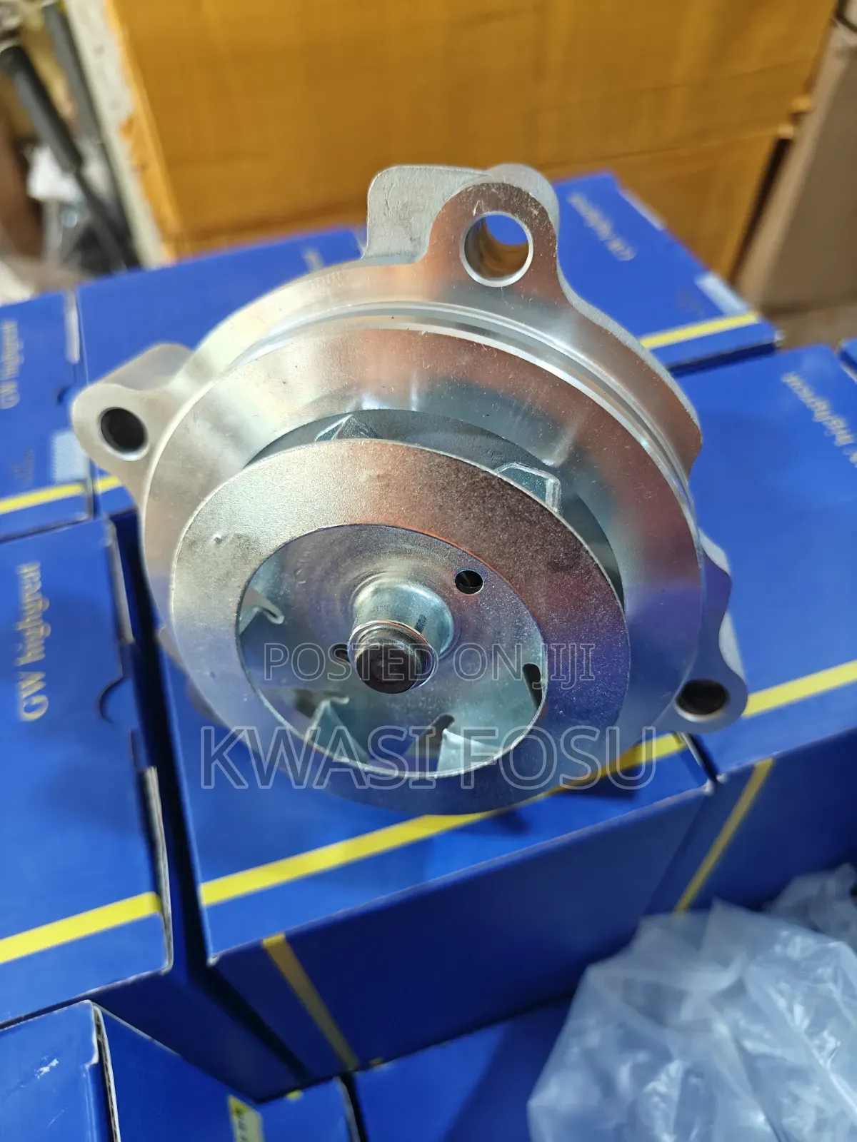 Ford F150 5.4L,4.6L Water Pulp