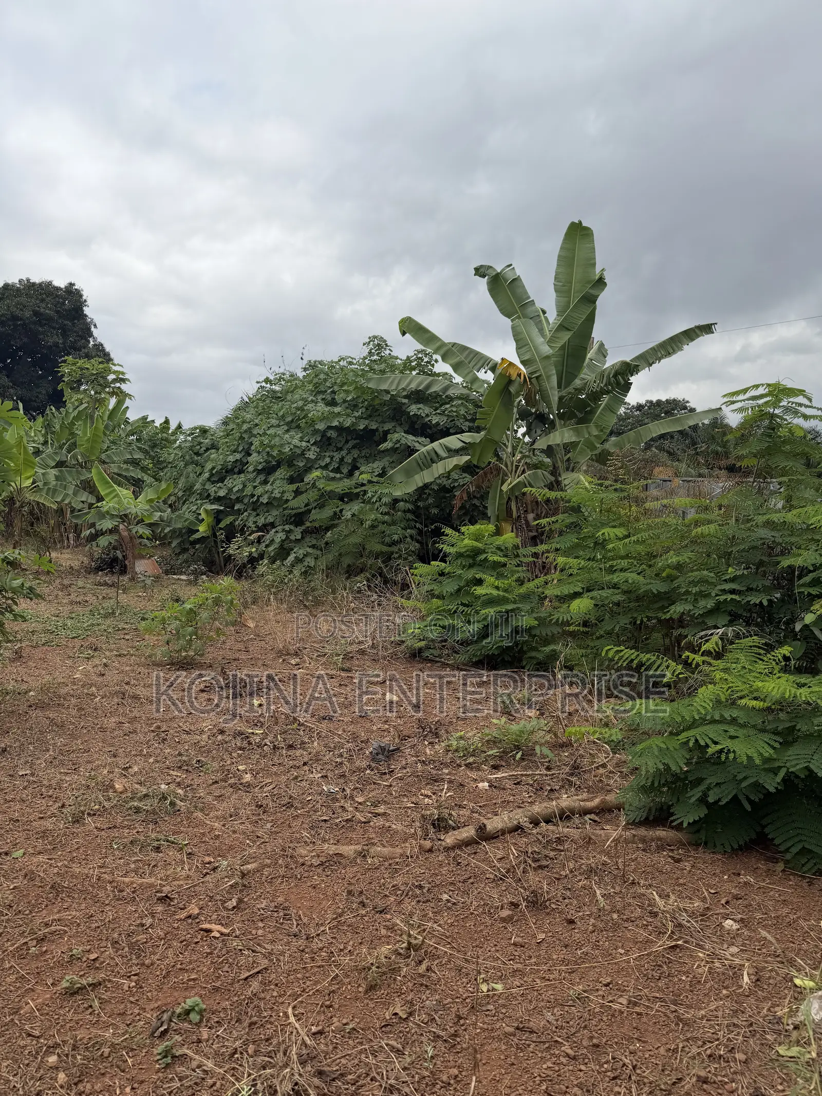 Prime Residential Land for Sale – Ridge Danyame, Kumasi