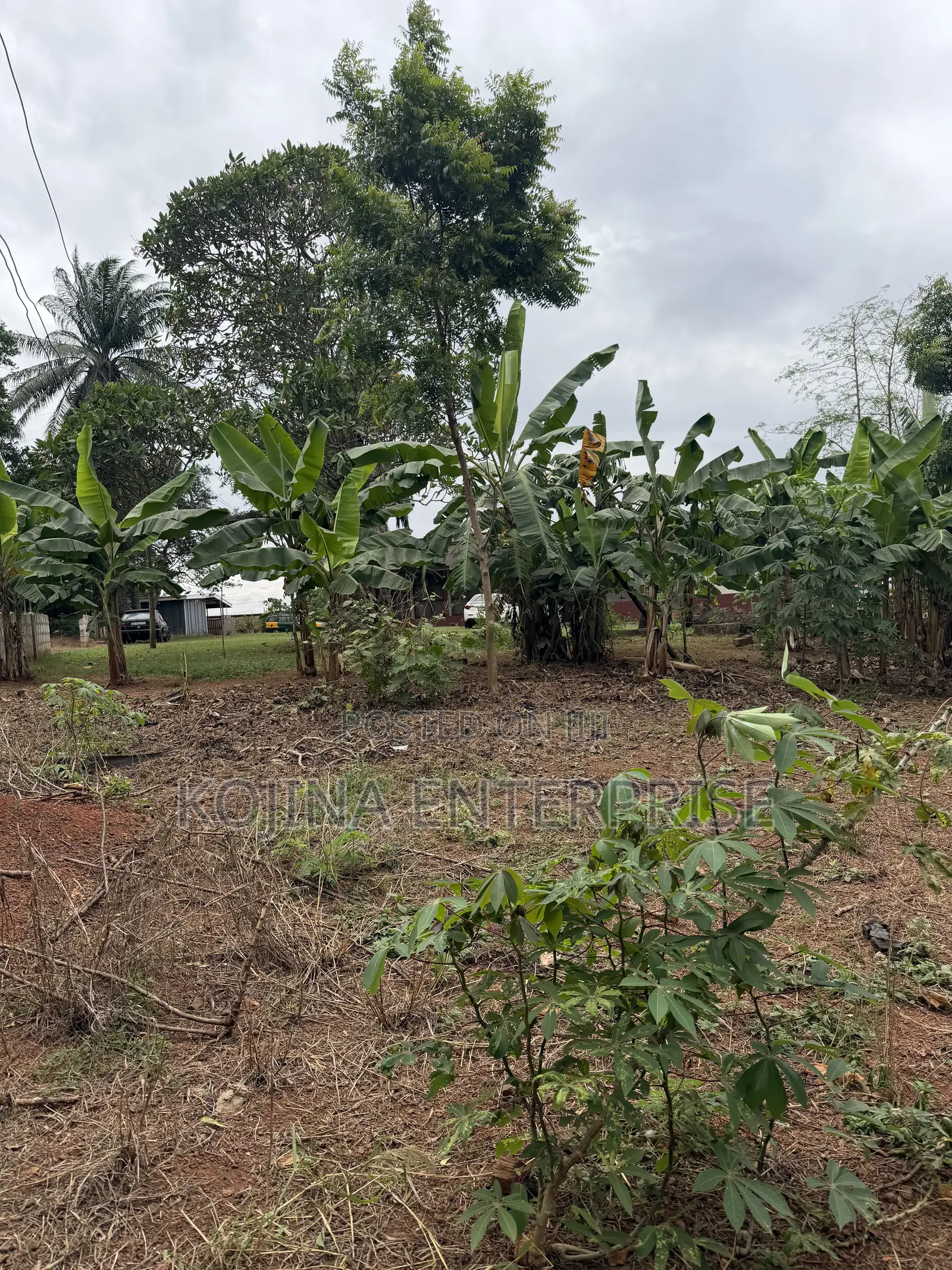 Prime Residential Land for Sale – Ridge Danyame, Kumasi