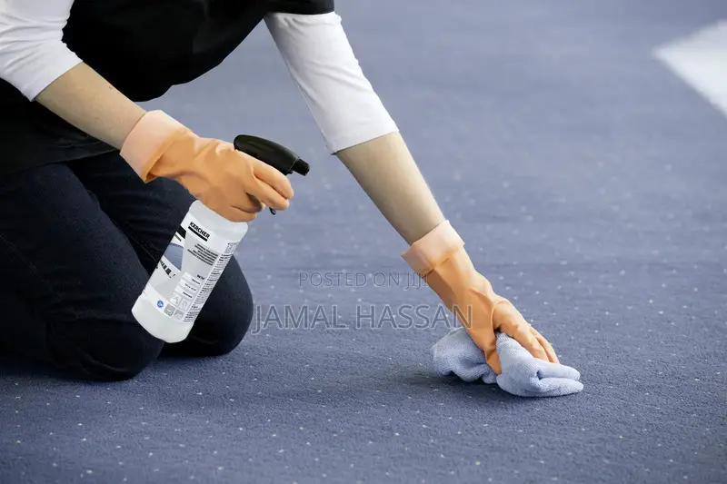 Karcher Universal Stain Remover RM 769, 500ml