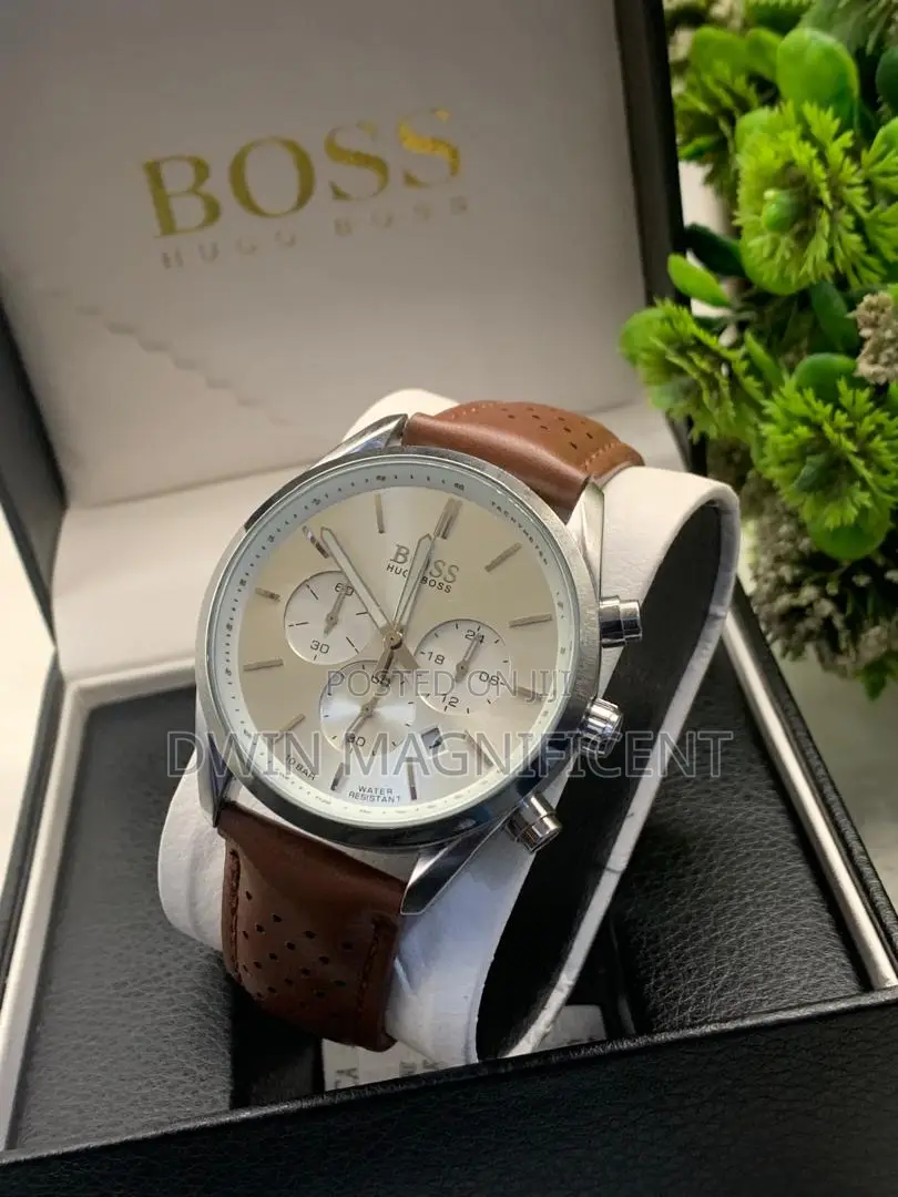 Hugo Boss Men's Champion Chronograph Watch (Model )