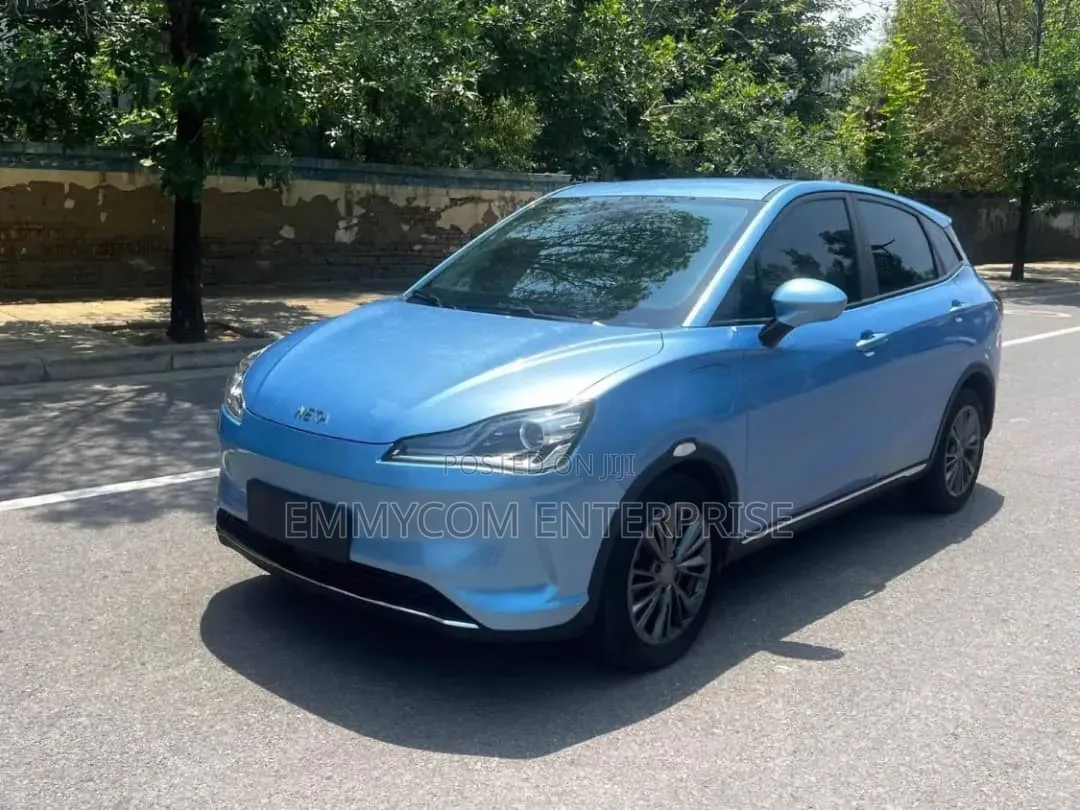 Hozon Neta V 2022 Blue