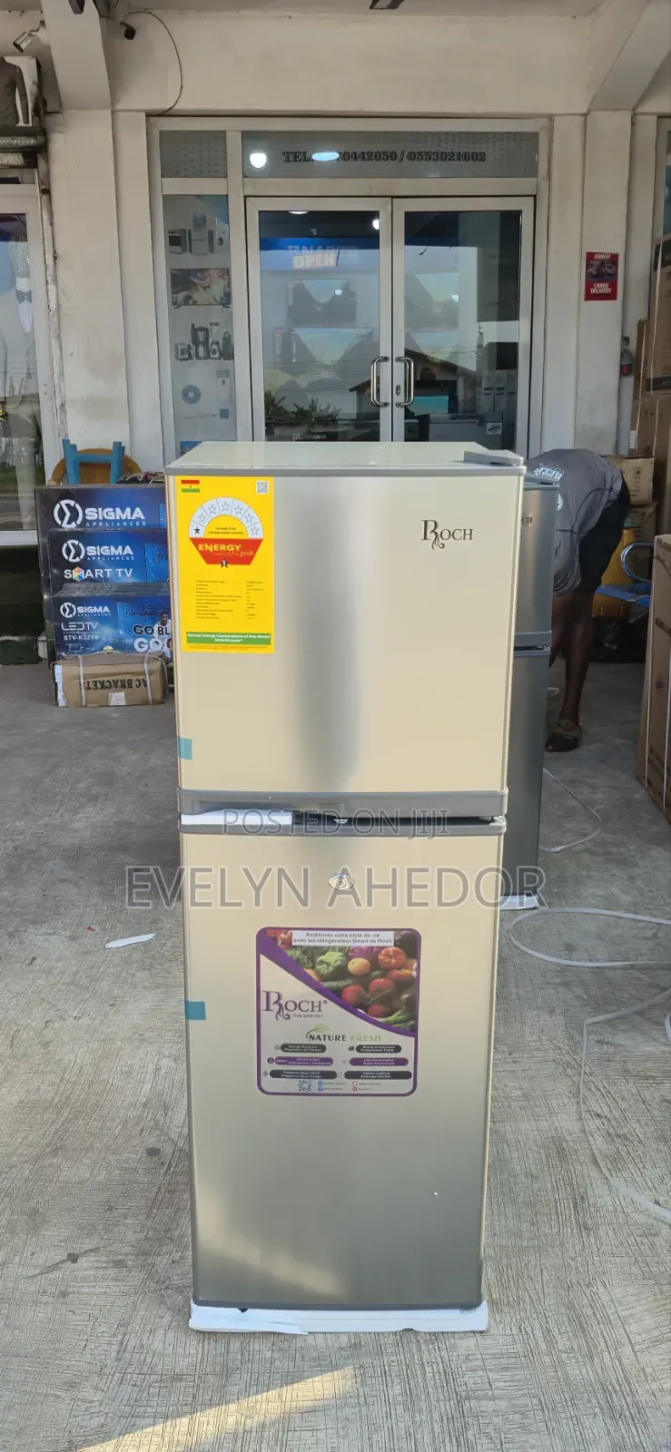 Fast Freezing Top Freezer of Roch Brand Fridge 138L