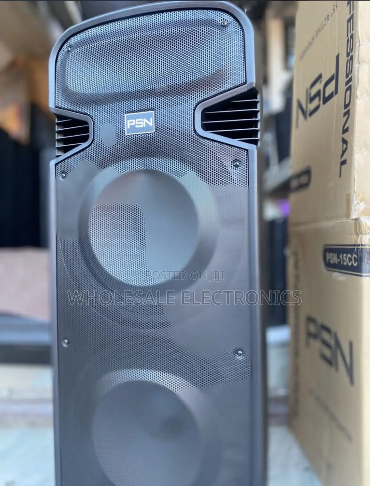 PSN Rechargeable Speaker Double 15 Inches