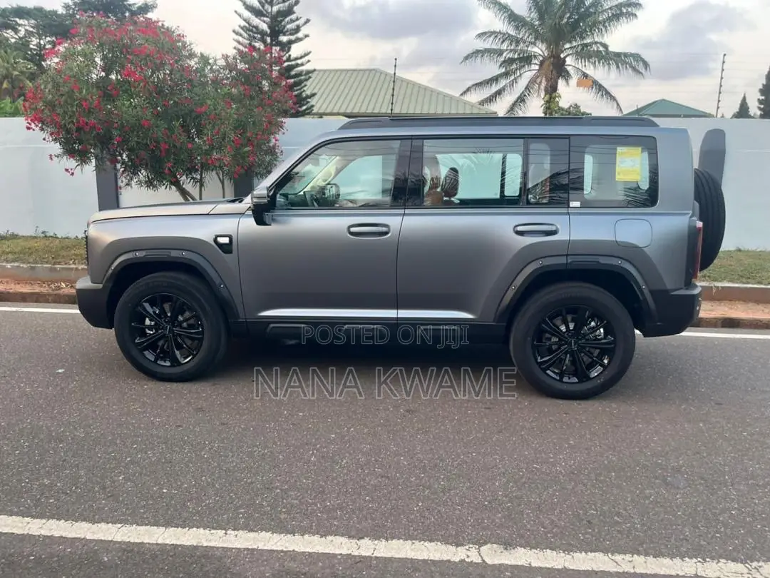 New Haval Menglong 2025 Gray