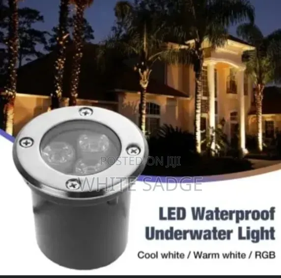 LED Down Light