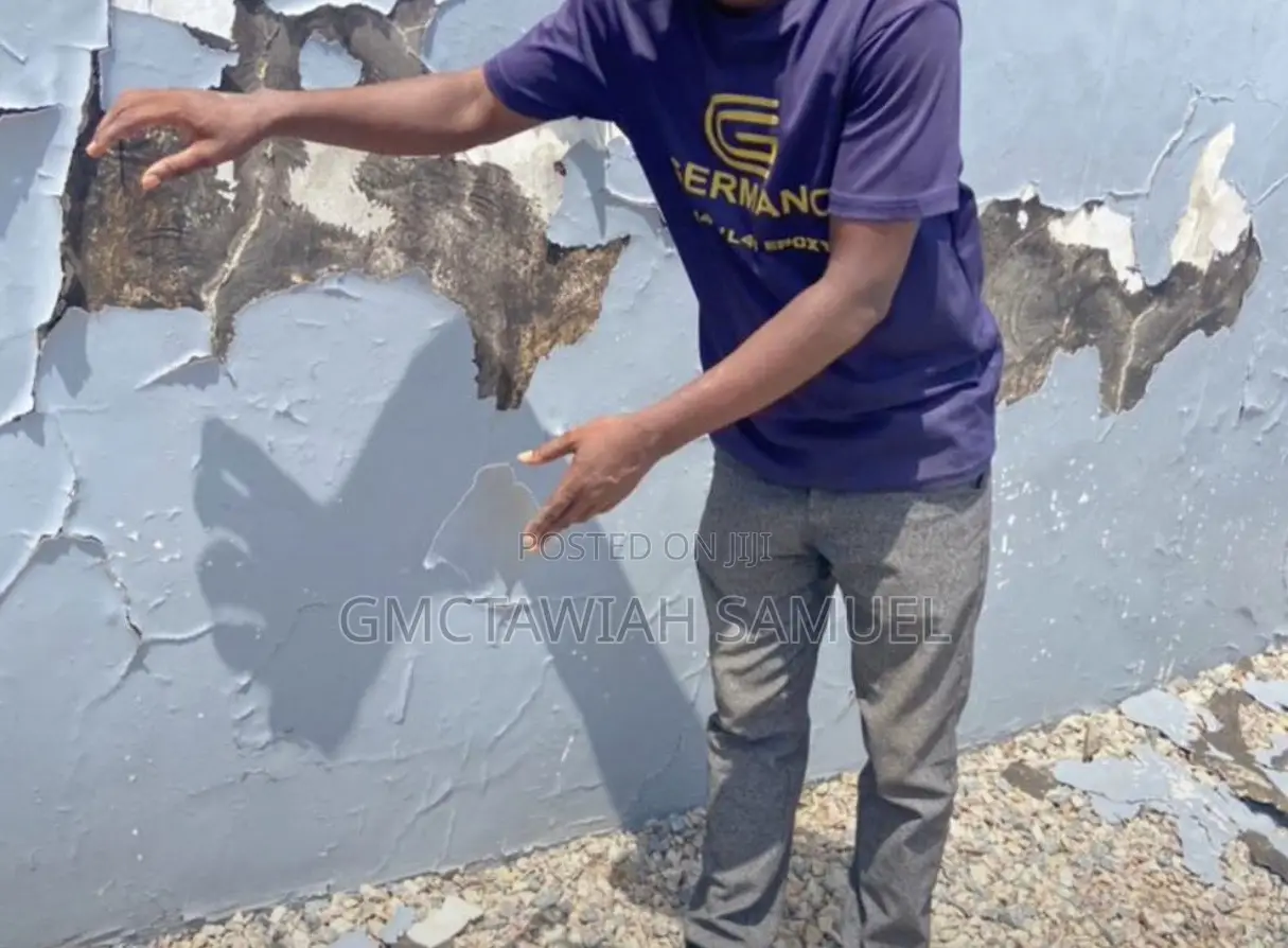 Wall Dampness Solutions