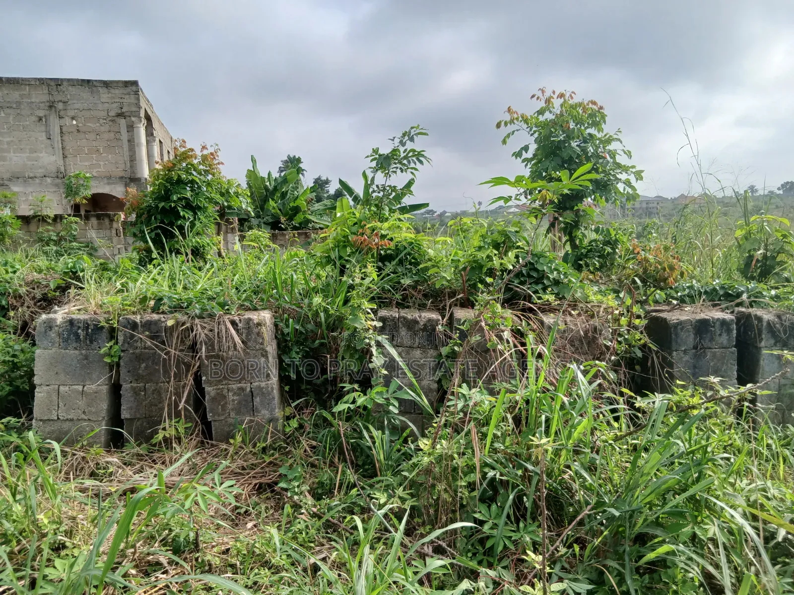 90*100 Full Plot of Land