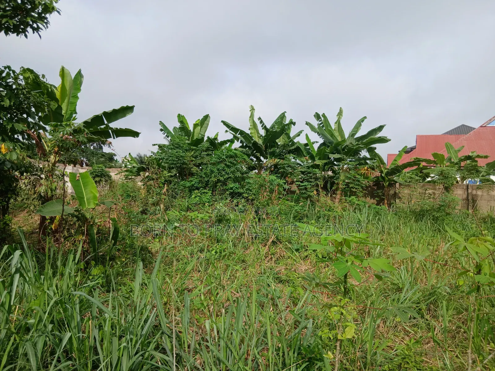 90*100 Full Plot of Land